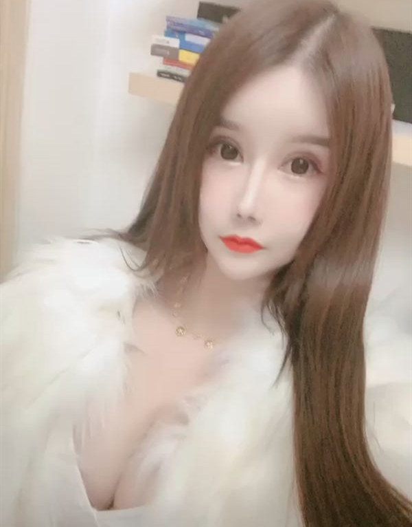 巴黎陪游